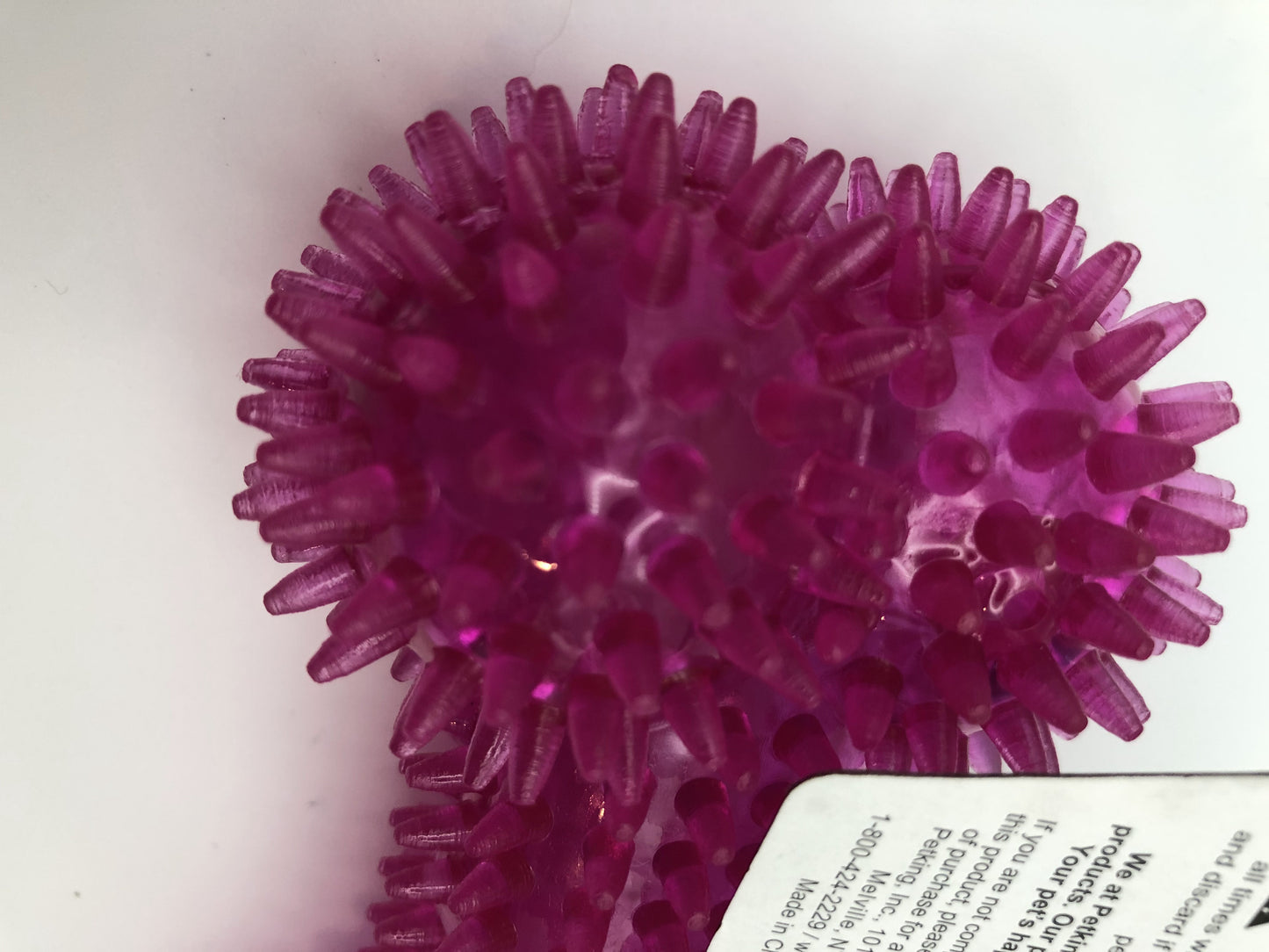 Pet King Squeaker Bone Toy with Spikes - Blue, Orange, or Pink, 1 Count