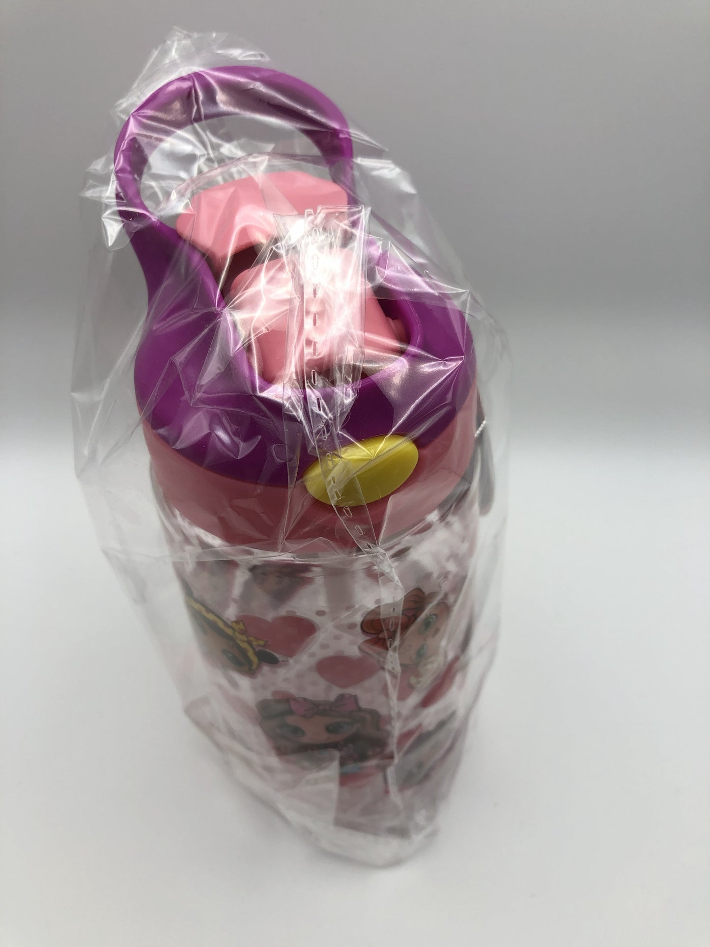 Splash Spill Proof Water Bottle, 16.9 oz., Assorted Styles